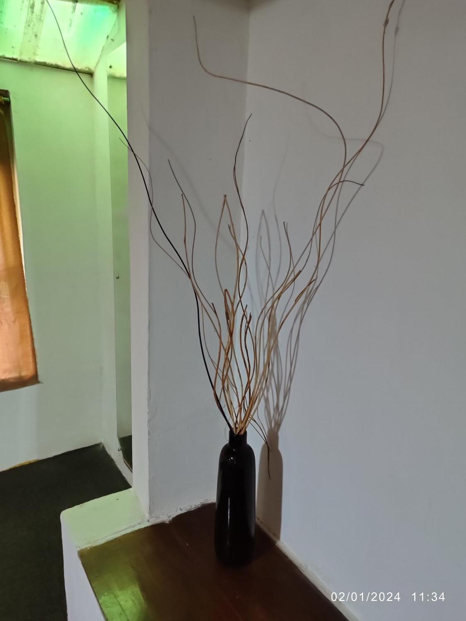 Spring Shannon Heritage Diyatalawa Zewnętrze zdjęcie